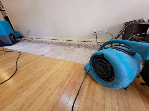 Professional Structural Drying technician working in Blanchester, OH